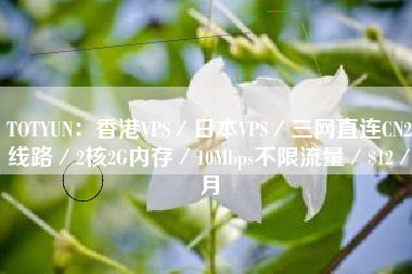 TOTYUN：香港VPS／日本VPS／三网直连CN2线路／2核2G内存／10Mbps不限流量／$12／月
