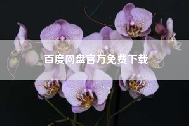 百度网盘官方免费下载