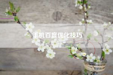 手机百度优化技巧