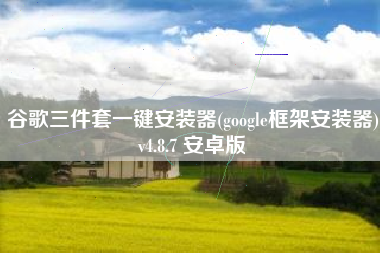 谷歌三件套一键安装器(google框架安装器)v4.8.7 安卓版