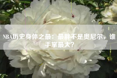 NBA历史身体之最：最胖不是奥尼尔，谁手掌最大？