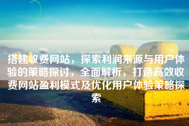 搭建收费网站，探索利润来源与用户体验的策略探讨，全面解析，打造高效收费网站盈利模式及优化用户体验策略探索