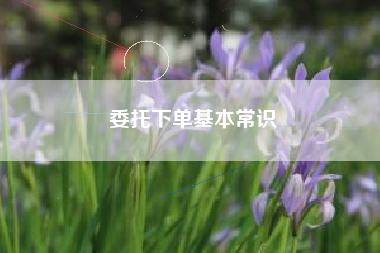 委托下单基本常识 委托下单基本常识
