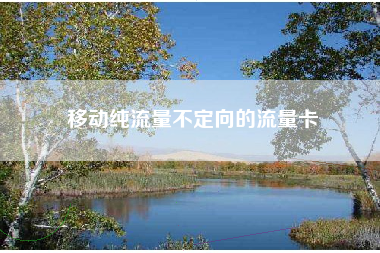 移动纯流量不定向的流量卡