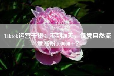 Tiktok运营干货：不到20天，仅凭自然流量涨粉100000+？