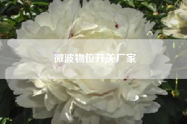微波物位开关厂家 微波物位开关厂家
