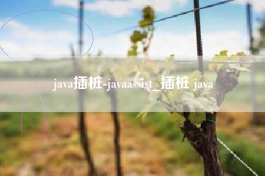 java插桩-javaassist_插桩 java java插桩-javaassist_插桩 java