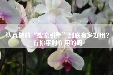 认真做的“搜索引擎”到底有多好用？有你平时在用的吗