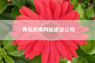 青岛胶南网站建设公司