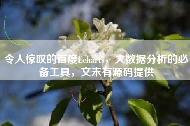 令人惊叹的百度Echarts，大数据分析的必备工具，文末有源码提供