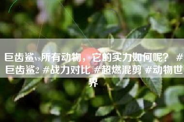 巨齿鲨vs所有动物，它的实力如何呢？ #巨齿鲨2 #战力对比 #超燃混剪 #动物世界