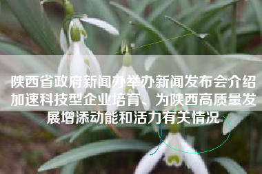 陕西省政府新闻办举办新闻发布会介绍加速科技型企业培育、为陕西高质量发展增添动能和活力有关情况