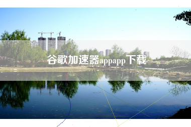 谷歌加速器appapp下载