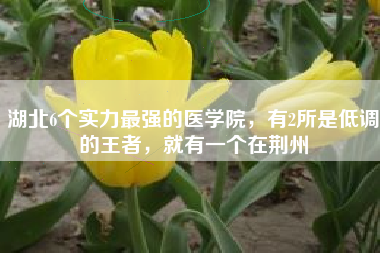 湖北6个实力最强的医学院，有2所是低调的王者，就有一个在荆州