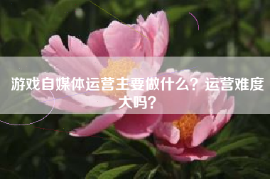 游戏自媒体运营主要做什么？运营难度大吗？