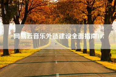 网易云音乐外链建设全面指南147