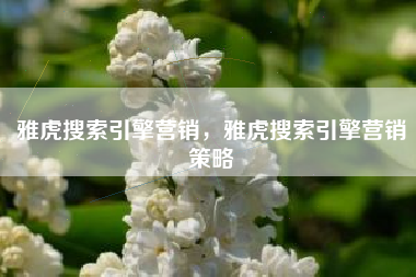 雅虎搜索引擎营销，雅虎搜索引擎营销策略