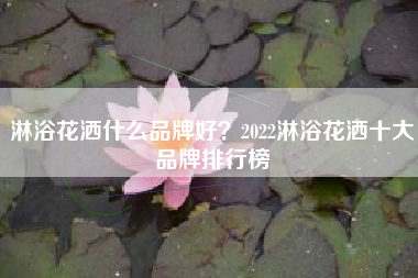淋浴花洒什么品牌好？2022淋浴花洒十大品牌排行榜