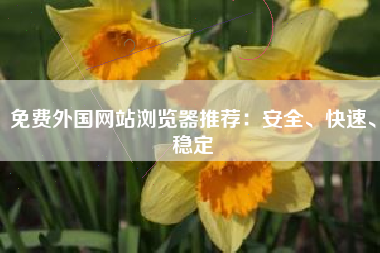 免费外国网站浏览器推荐：安全、快速、稳定