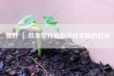 视野 ｜ 欧美银行业反洗钱实践的启示