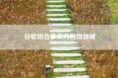 谷歌组合拳发力购物领域