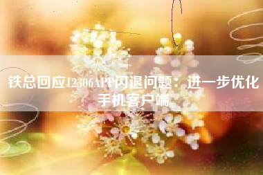 铁总回应12306APP闪退问题：进一步优化手机客户端
