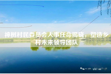 神树村民委员会人事任命揭晓，塑造乡村未来领导团队