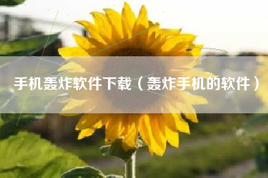 手机轰炸软件下载（轰炸手机的软件）