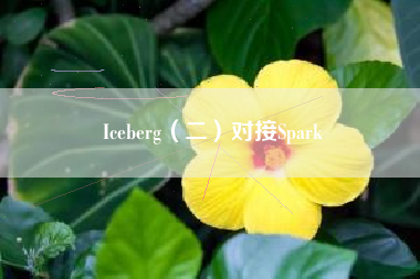 Iceberg（二）对接Spark
