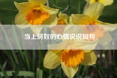 当上房奴的心情说说短句