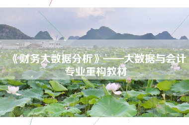 《财务大数据分析》——大数据与会计专业重构教材
