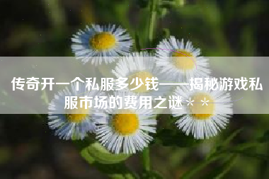 传奇开一个私服多少钱——揭秘游戏私服市场的费用之谜＊＊