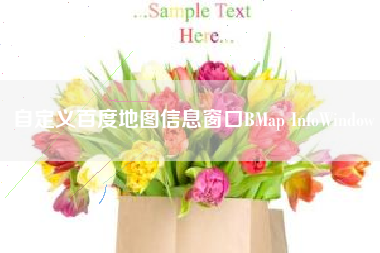 自定义百度地图信息窗口BMap InfoWindow 自定义百度地图信息窗口BMap InfoWindow