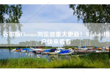 谷歌版Chrome浏览器重大更新！Windows用户快来看看