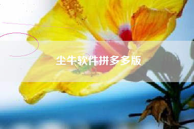 尘牛软件拼多多版