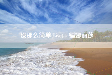 没那么简单(Live) - 锤娜丽莎