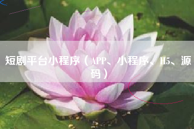 短剧平台小程序（APP、小程序、H5、源码）