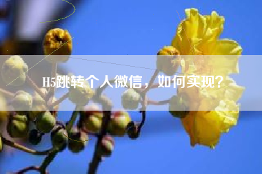 H5跳转个人微信，如何实现？