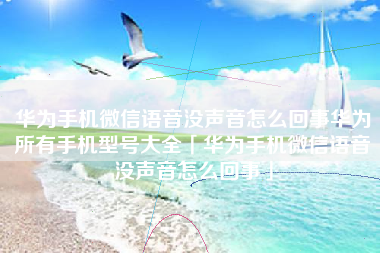 华为手机微信语音没声音怎么回事华为所有手机型号大全「华为手机微信语音没声音怎么回事」