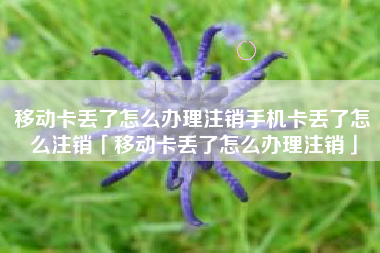 移动卡丢了怎么办理注销手机卡丢了怎么注销「移动卡丢了怎么办理注销」
