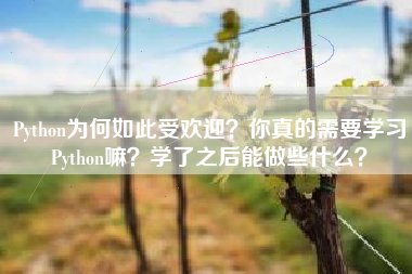 Python为何如此受欢迎？你真的需要学习Python嘛？学了之后能做些什么？