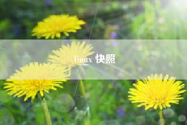 linux 快照 linux 快照