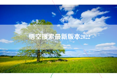 悟空搜索最新版本2022
