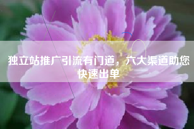 独立站推广引流有门道，六大渠道助您快速出单