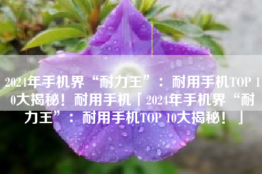 2024年手机界“耐力王”：耐用手机TOP 10大揭秘！耐用手机「2024年手机界“耐力王”：耐用手机TOP 10大揭秘！」
