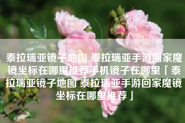 泰拉瑞亚镜子地图 泰拉瑞亚手游回家魔镜坐标在哪里推荐手机镜子在哪里「泰拉瑞亚镜子地图 泰拉瑞亚手游回家魔镜坐标在哪里推荐」