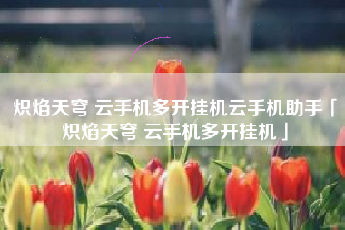 炽焰天穹 云手机多开挂机云手机助手「炽焰天穹 云手机多开挂机」