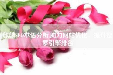 麒麟SEO术语分析,助力网站优化，提升搜索引擎排名