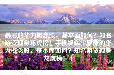 暴涨的华为概念股，基本面如何？知名游资现身龙虎榜！手机终端「暴涨的华为概念股，基本面如何？知名游资现身龙虎榜！」