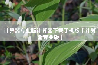 计算器专业版计算器下载手机版「计算器专业版」